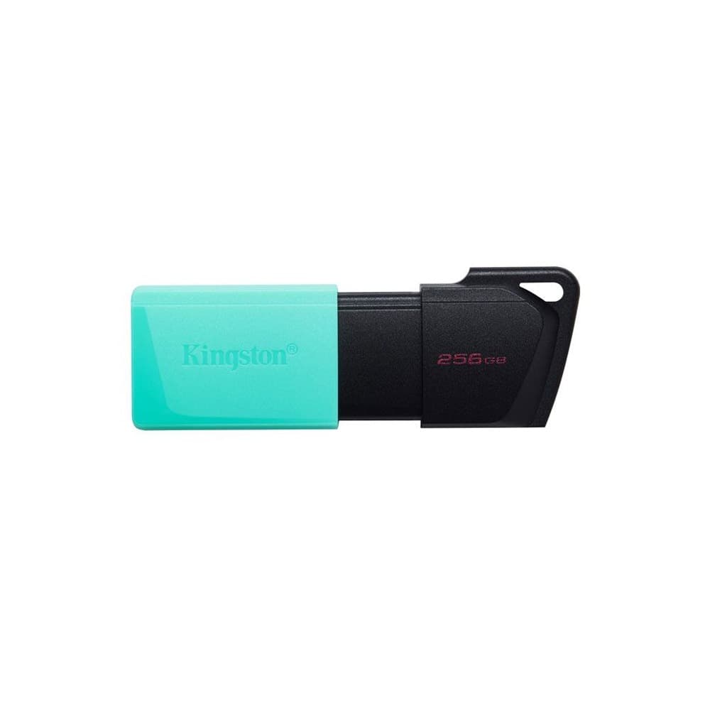Kingston DataTraveler Exodia 256GB USB 3.2 Flash Drive - DTXS