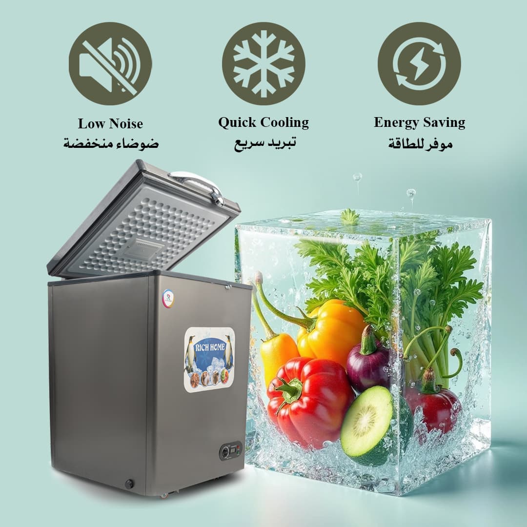 Rich Home Chest Freezer, De Frost - Silver, RH-CFD 170ss