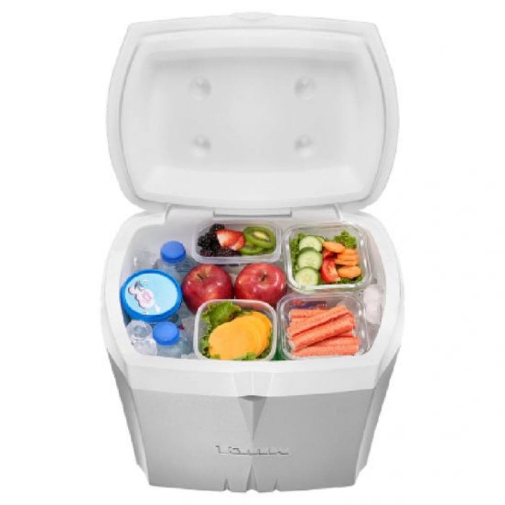 Tank Ice Box, 23 L - Silver